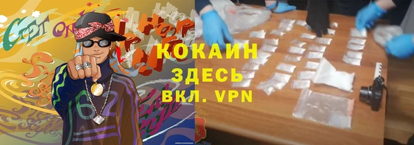 индика Балахна