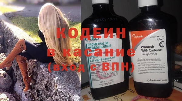индика Балахна