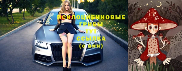 индика Балахна
