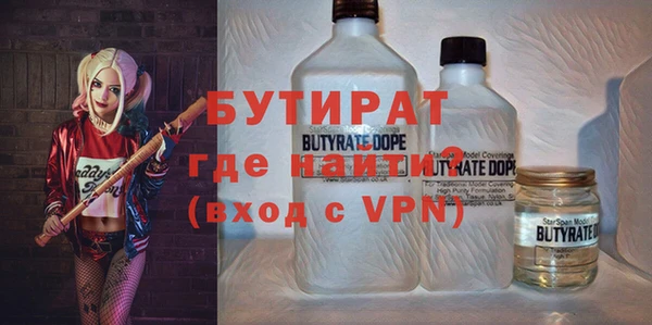 индика Балахна