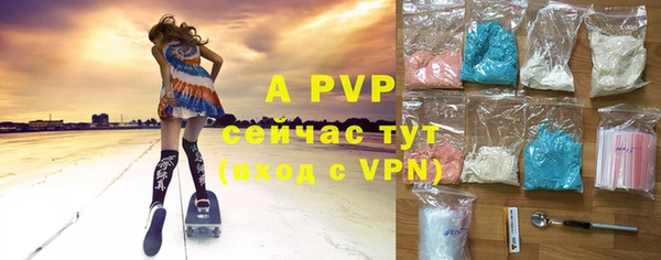 индика Балахна